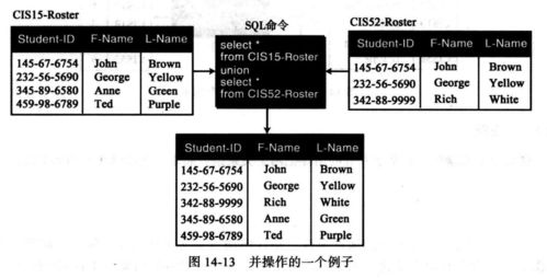 數據庫與計算機網絡服務 計算機科學導論第十四章核心解析